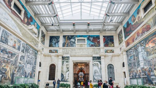 Detroit Institute of the Arts: A Cultural Anchor for Newcomers and Homebuyers Moving to Detroit, Michigan